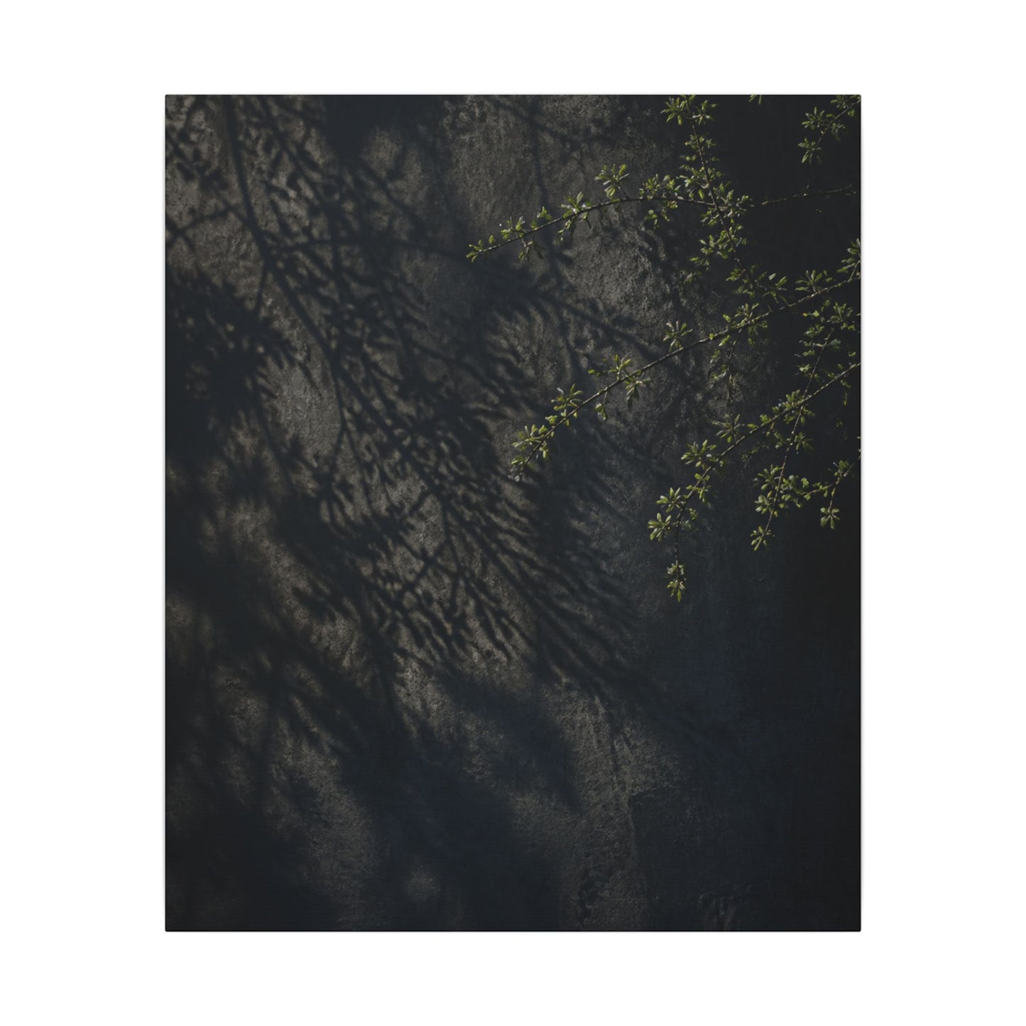Overcast Shadow Play Canvas Art - Dark Japandi Seijaku