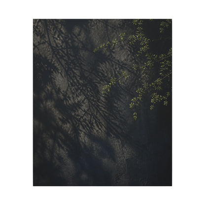 Overcast Shadow Play Canvas Art - Dark Japandi Seijaku