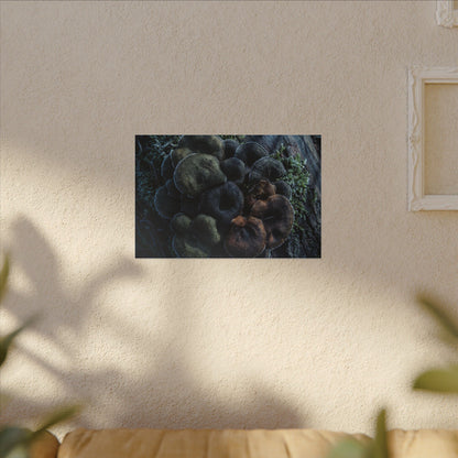 Wild Mushrooms Moody Minimal Canvas Art | Moody Dark Japandi Art