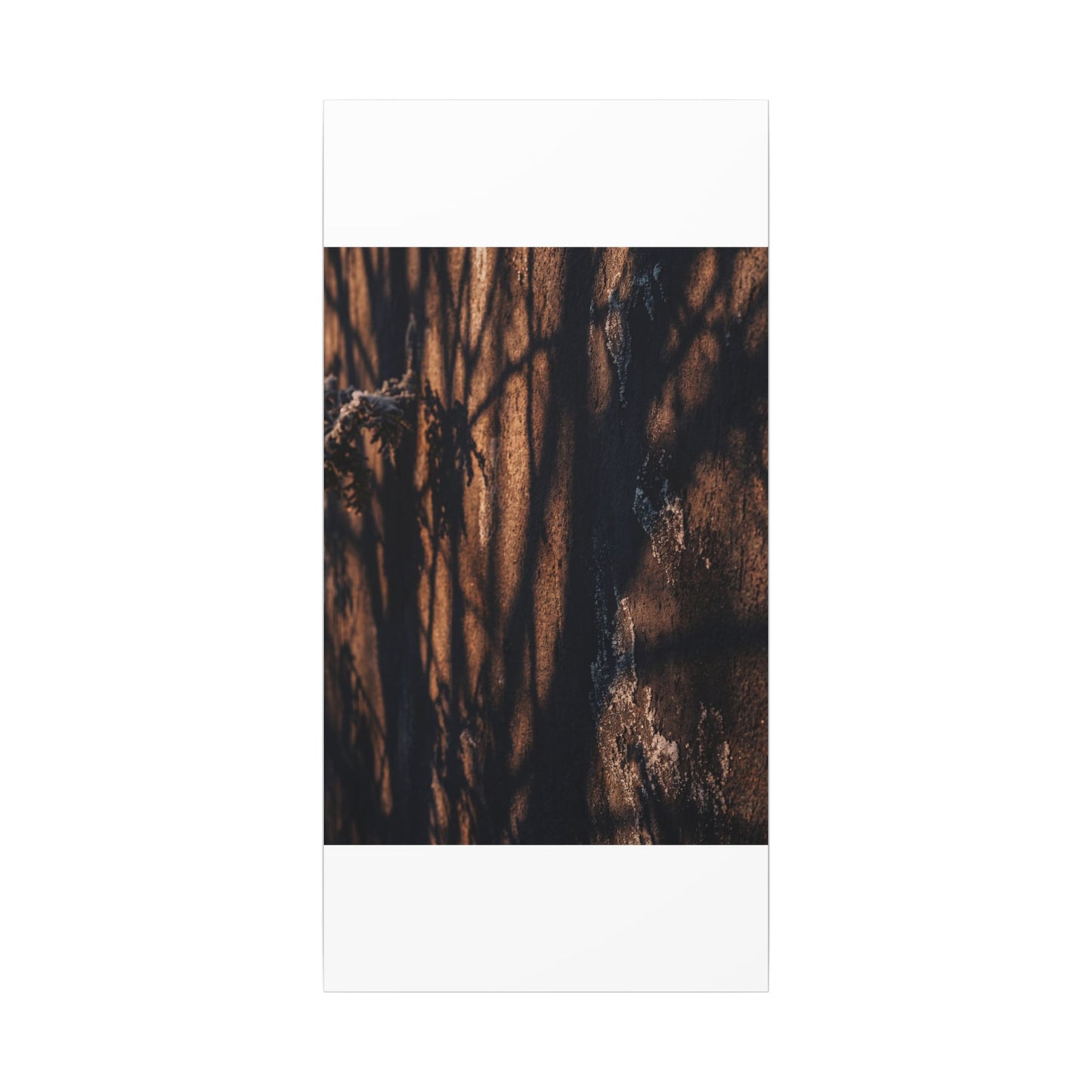 Golden Hour Shadow Play Canvas Art - Dark Japandi Fukinsei