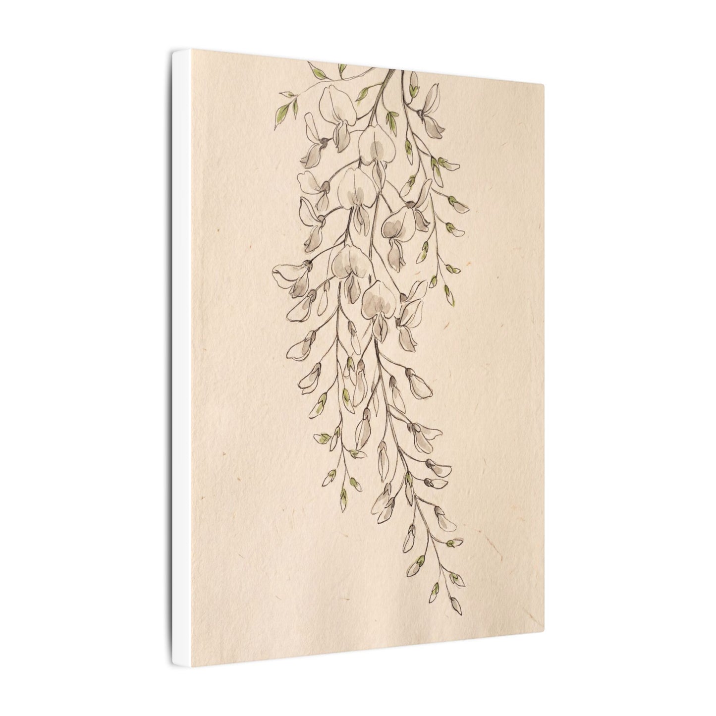 Japandi Wisteria in Golden Hour | Minimal Line Canvas Art