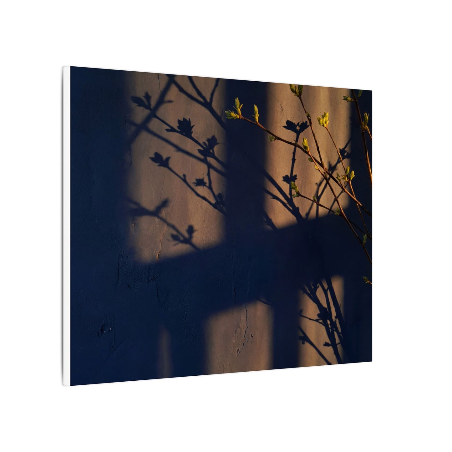 Shadow Play Canvas Art | Spring Dark Japandi Shadow Zen Art