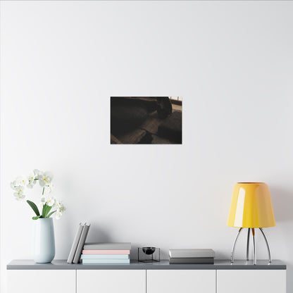 Dark Japandi Shadow Zen Canvas Art