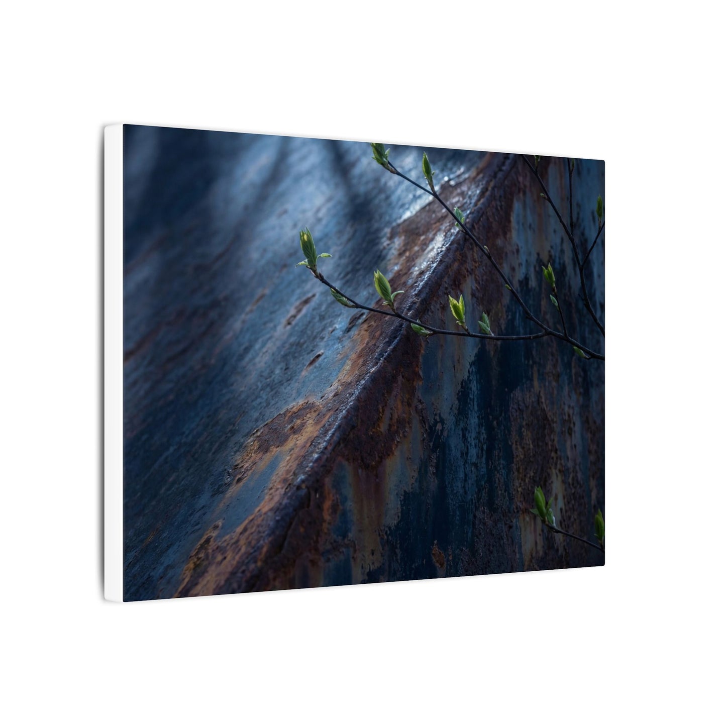 Rust Patina Canvas Art | Spring Dark Japandi Shadow Zen Art