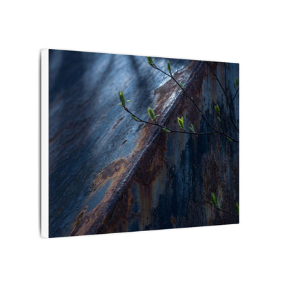 Rust Patina Canvas Art | Spring Dark Japandi Shadow Zen Art