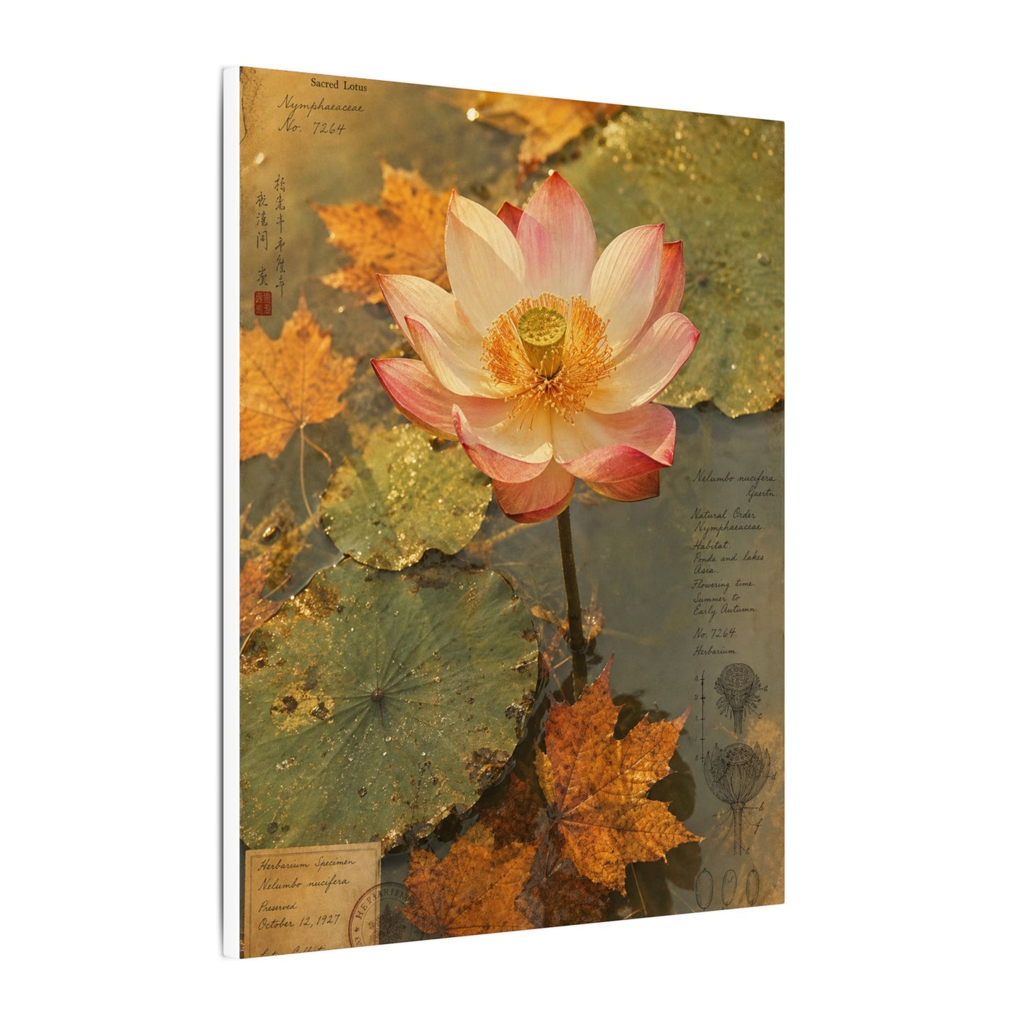 Autumn Lotus Flower Herbarium Canvas Art | Rustic Decor