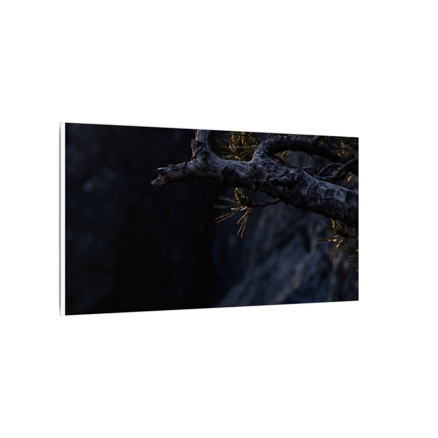 Pine Tree Moody Minimal Canvas Art | Sophisticated Dark Japandi Art