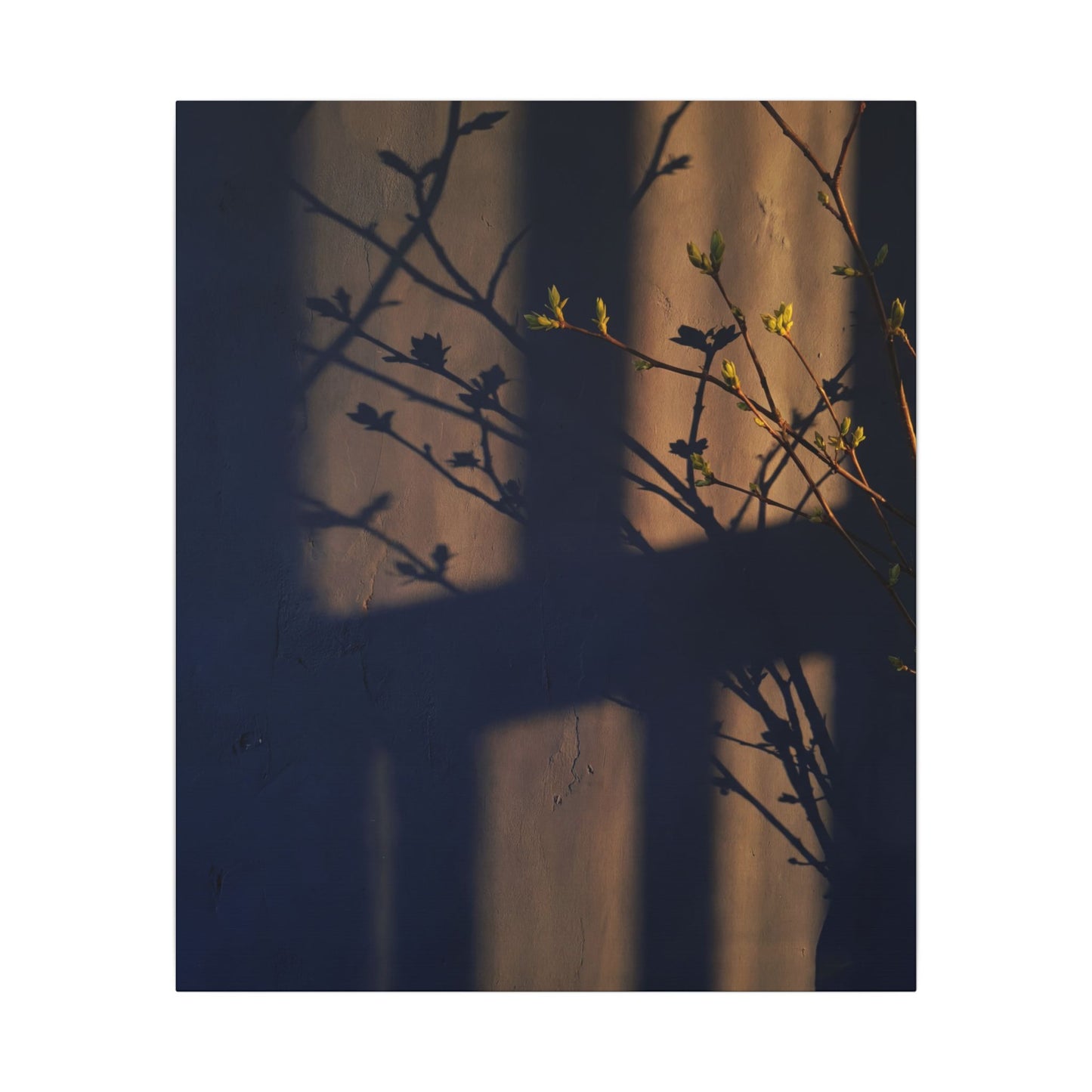 Shadow Play Canvas Art | Spring Dark Japandi Shadow Zen Art