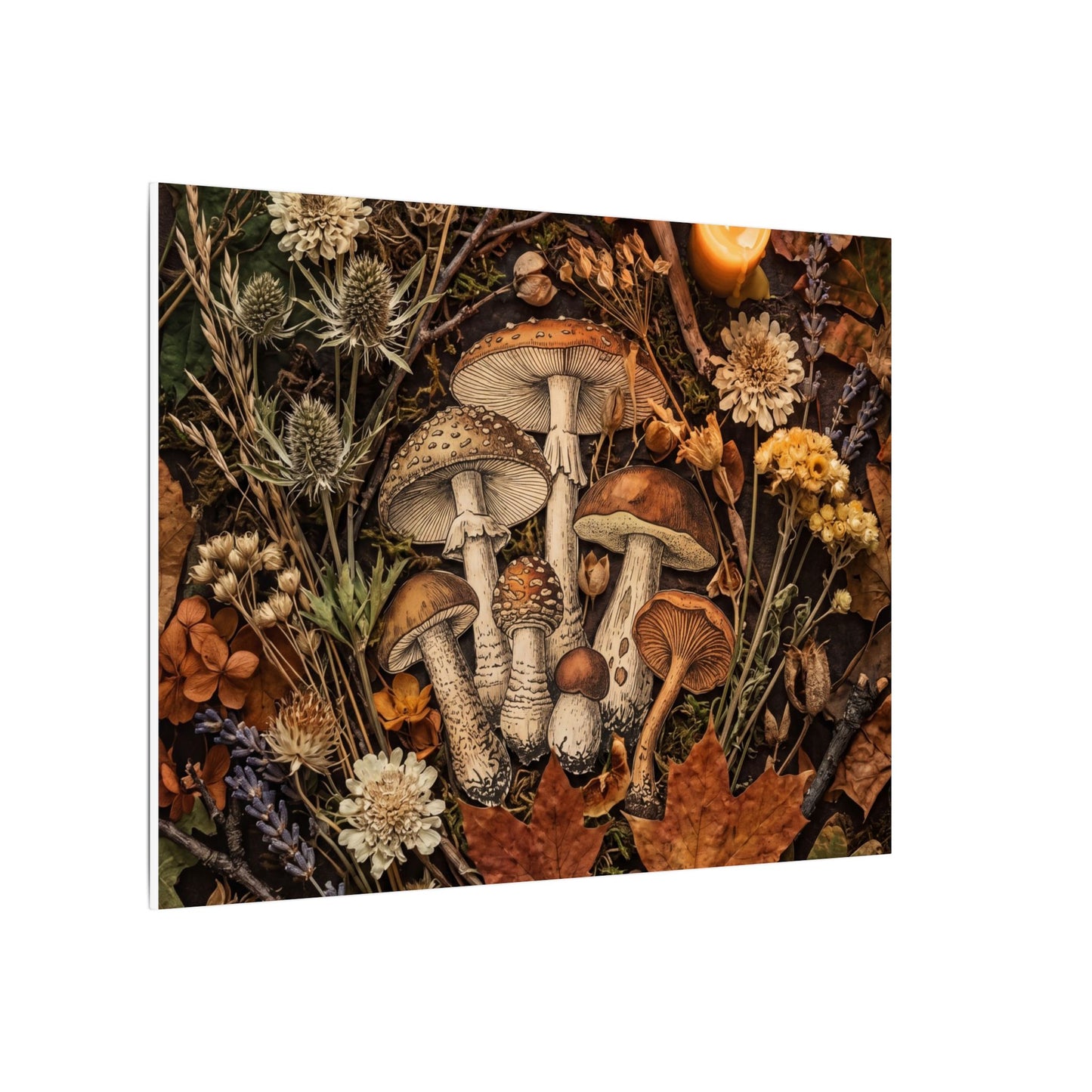 Autumn Dried Flowers Mushroom Illustration Canvas Art | Earthy Decor