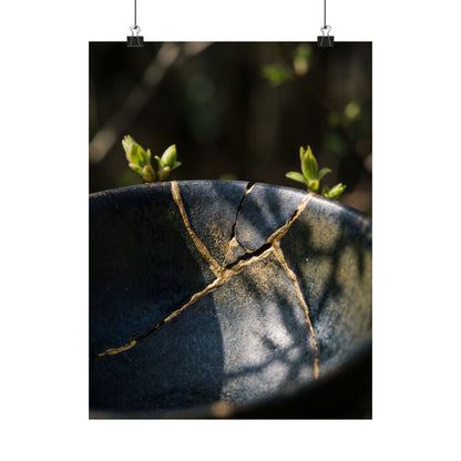 Spring Broken Pottery Shadow Zen Wall Art Print | Moody Decor Art Print