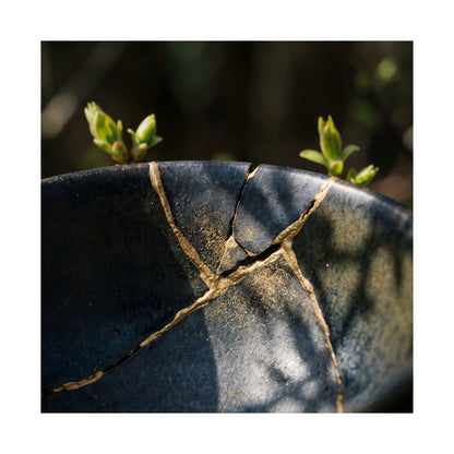 Spring Broken Pottery Shadow Zen Wall Art Print | Moody Decor