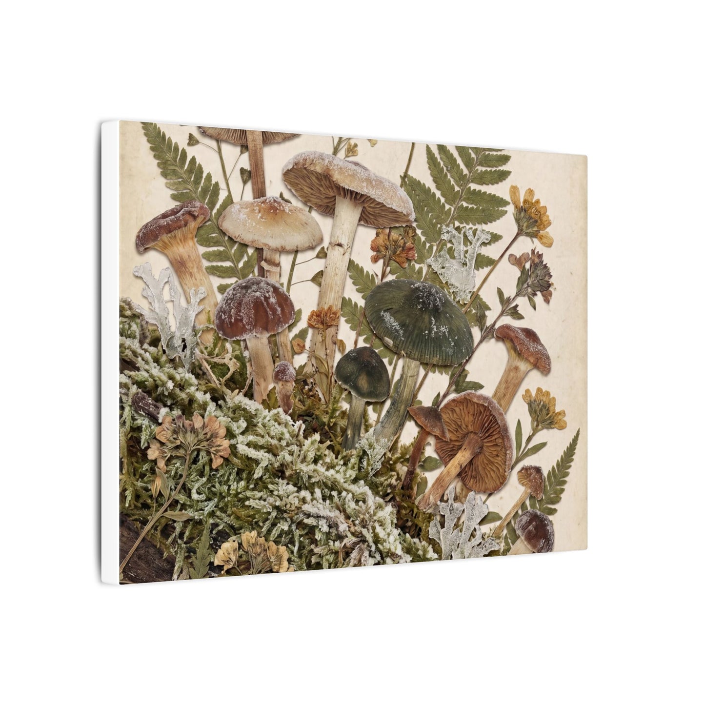 Winter Wild Mushrooms Herbarium Canvas Art | Enchanting Decor