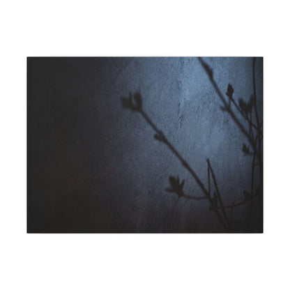 Shadow Play Canvas Art | Spring Dark Japandi Moody Minimal Art