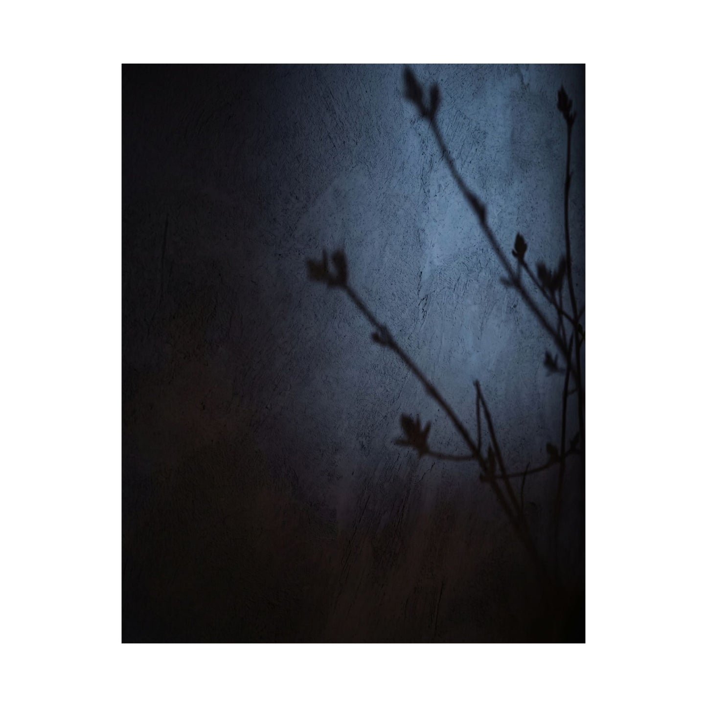 Shadow Play Wall Art Print | Spring Dark Japandi Moody Minimal Art