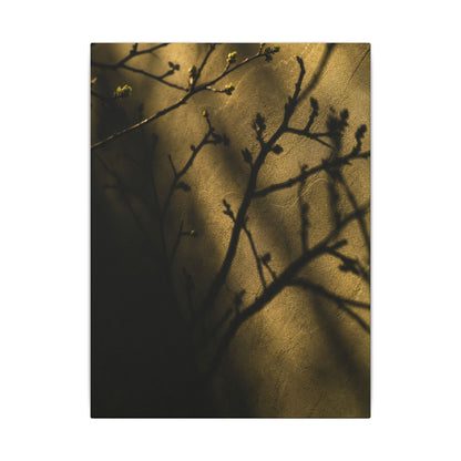 Golden Hour Shadow Play Canvas Art - Dark Japandi Seijaku