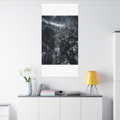 Dark Japandi Pine Tree in Dappled | Dark Texture Canvas Art