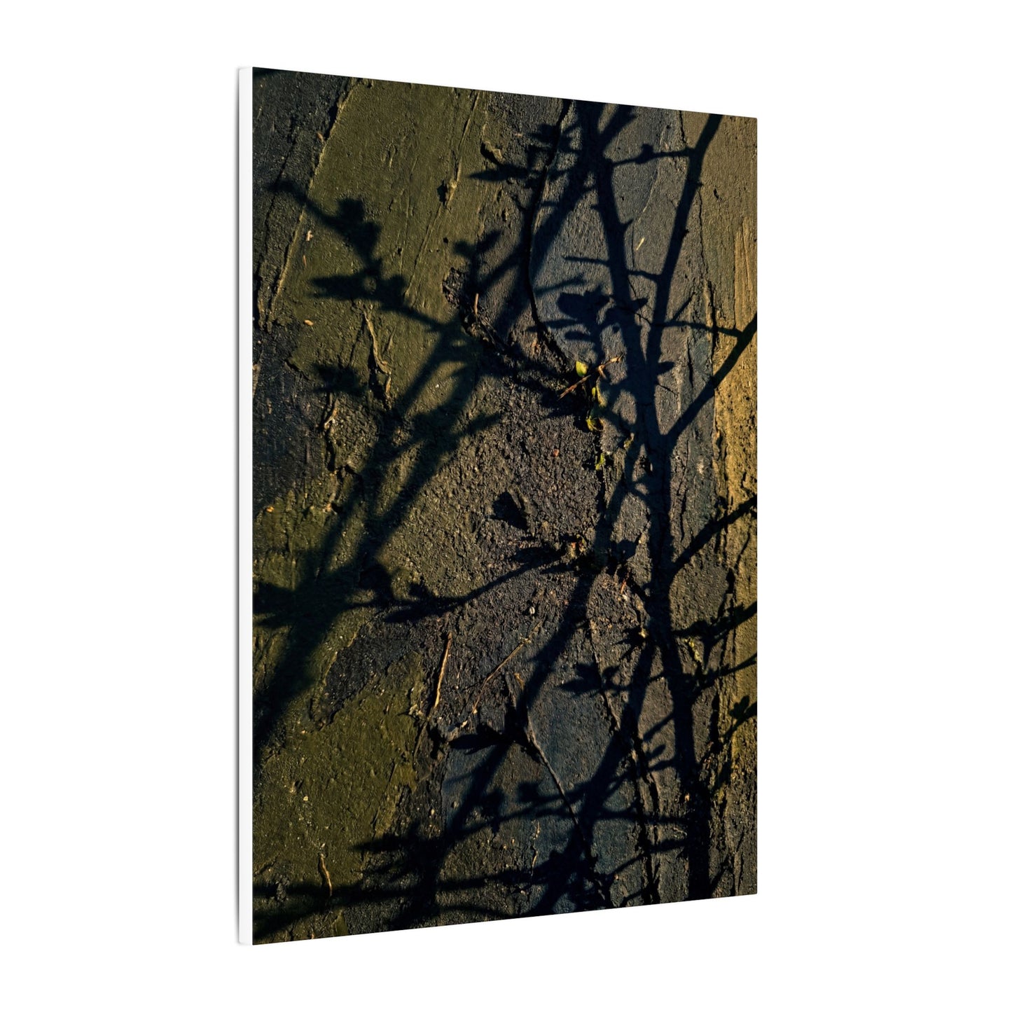 Kanso Shadow Play Canvas Art - Dark Japandi Dark Texture