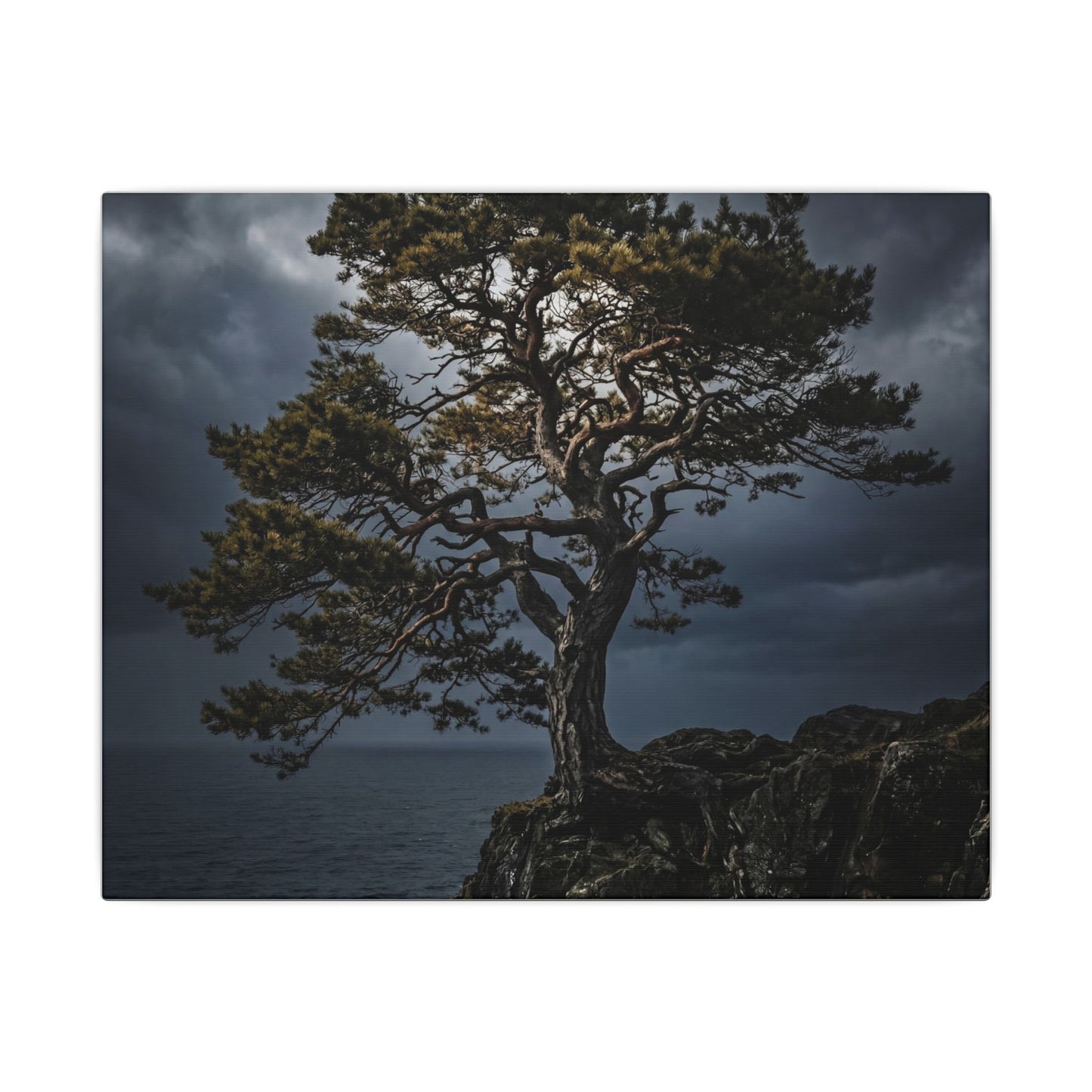 Dappled Pine Tree Canvas Art - Dark Japandi Fukinsei