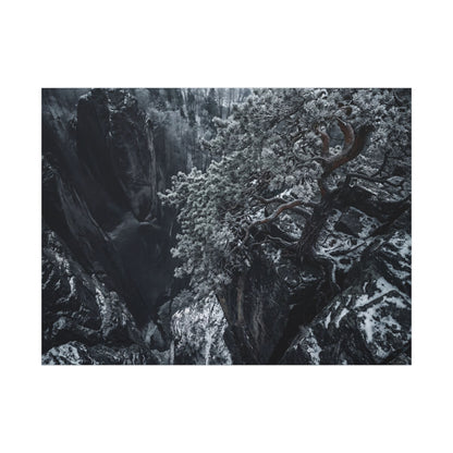 Dark Japandi Pine Tree in Dappled | Dark Texture Canvas Art