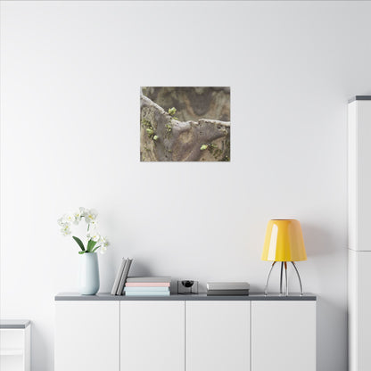 Overcast Ceramic Bowl Canvas Art - Japandi Fukinsei