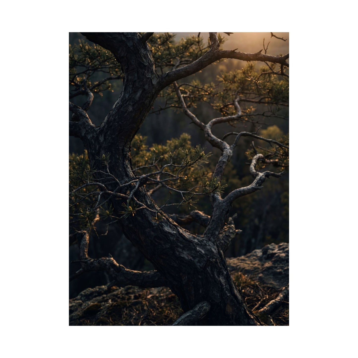 Pine Tree Spring Wall Art Print | Dark Japandi Sophisticated Design