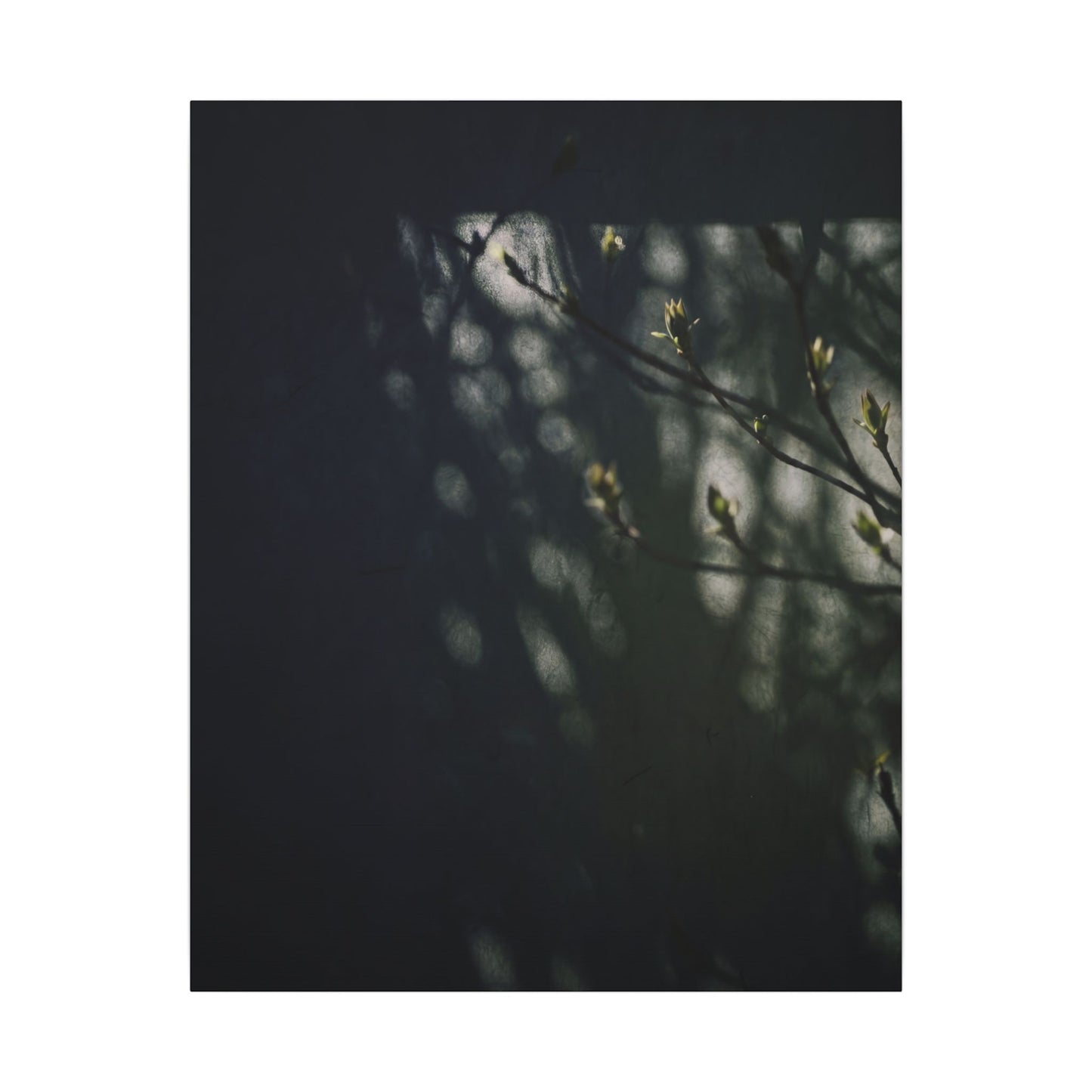 Dark Japandi Shoji Screen in Dappled | Moody Minimal Canvas Art