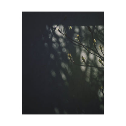 Dark Japandi Shoji Screen in Dappled | Moody Minimal Canvas Art