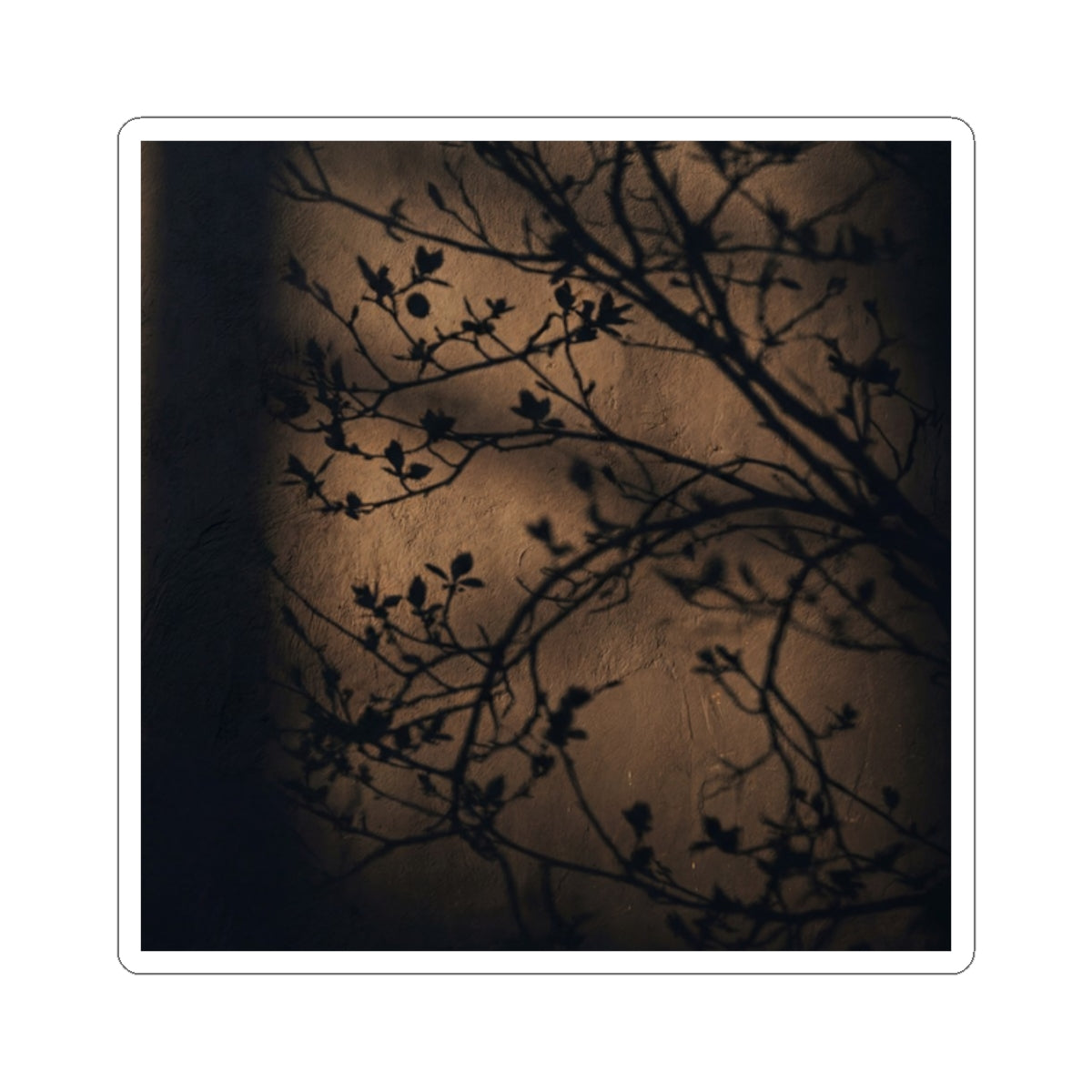 Dark Japandi Shadow Play in Golden Hour | Shadow Zen Sticker Art Print