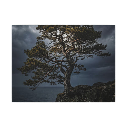 Dappled Pine Tree Canvas Art - Dark Japandi Fukinsei Art Print