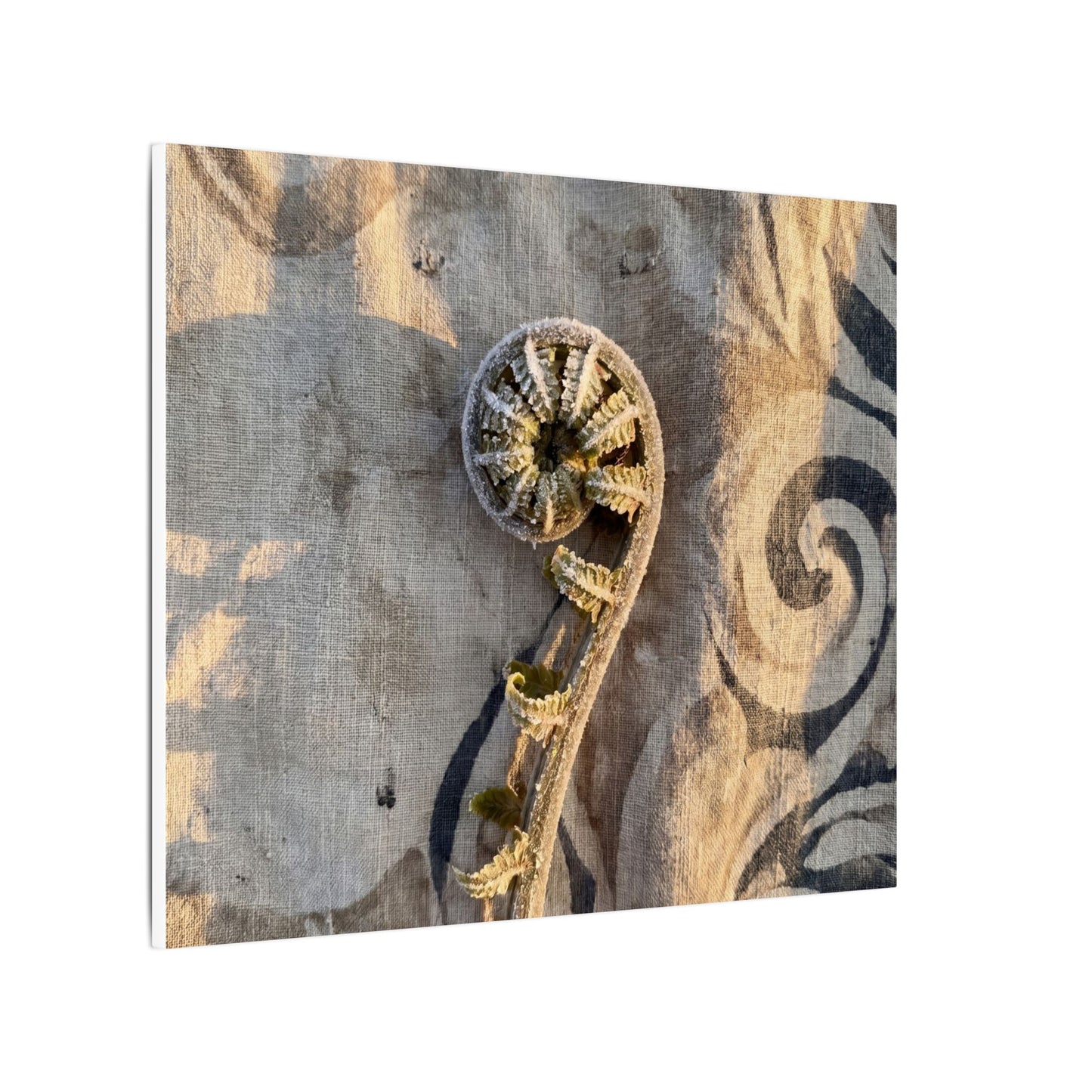 Fern Unfurling Canvas Art | Winter Japandi Japanese Pattern Art