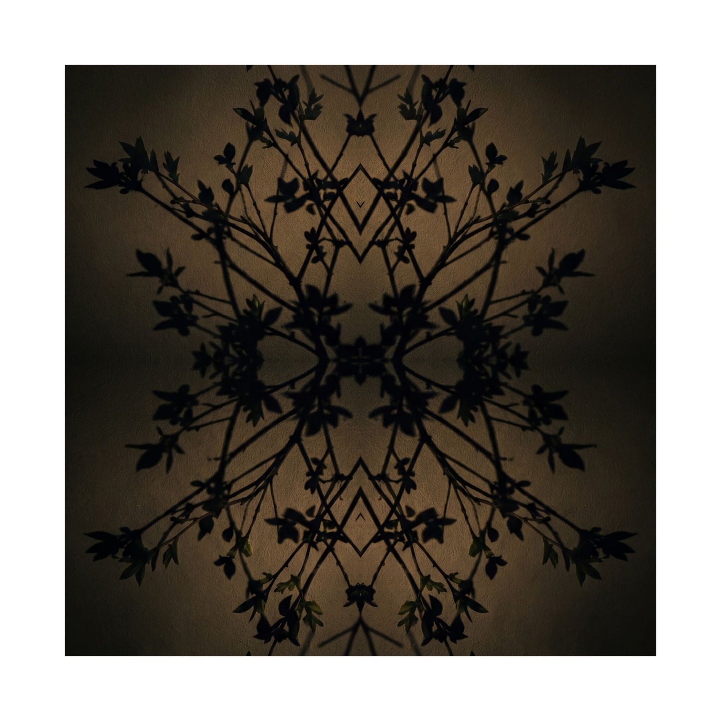 Shadow Play Wall Art Print | Spring Dark Japandi Shadow Zen Art