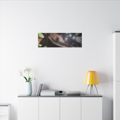 Ceramic Bowl Shadow Zen Canvas Art | Moody Dark Japandi Art