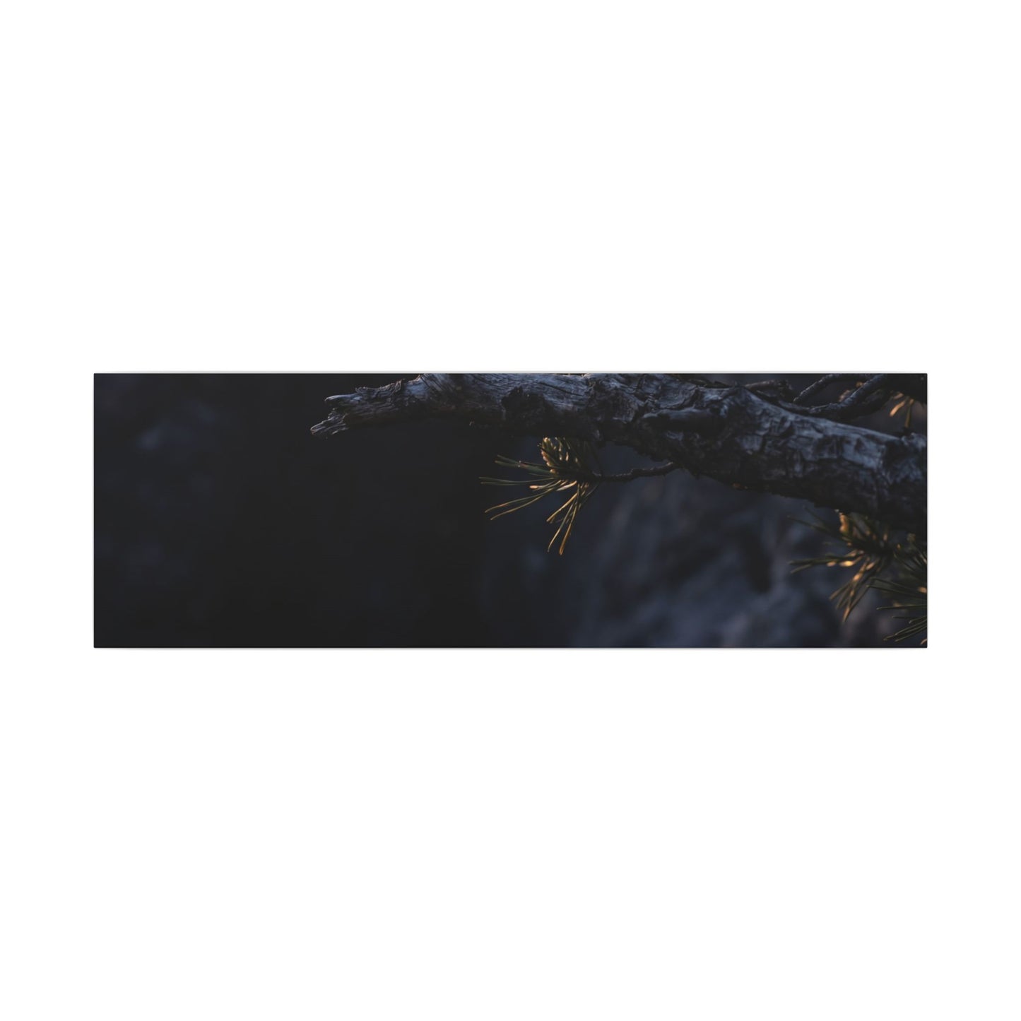 Pine Tree Moody Minimal Canvas Art | Sophisticated Dark Japandi Art