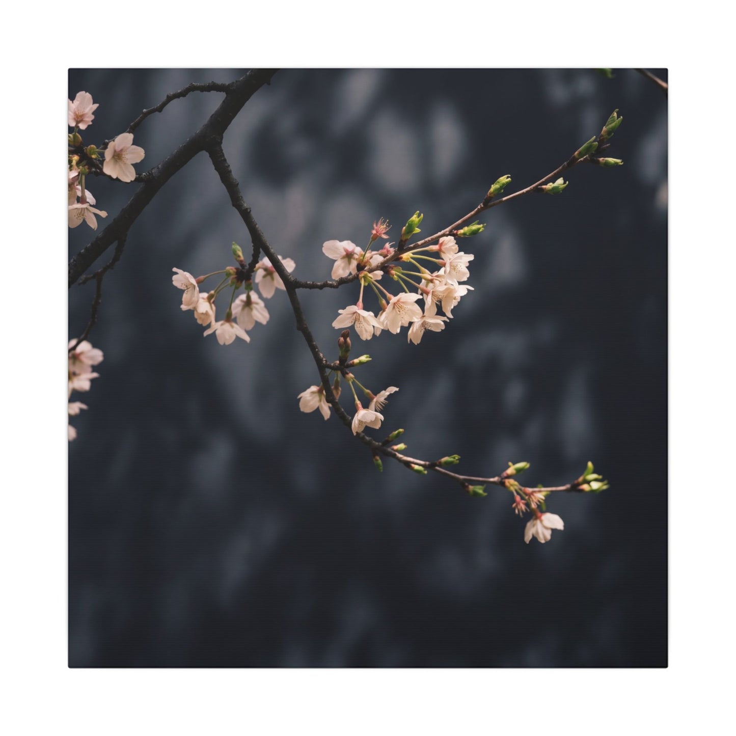 Cherry Blossom Moody Minimal Canvas Art | Bold Dark Japandi Art
