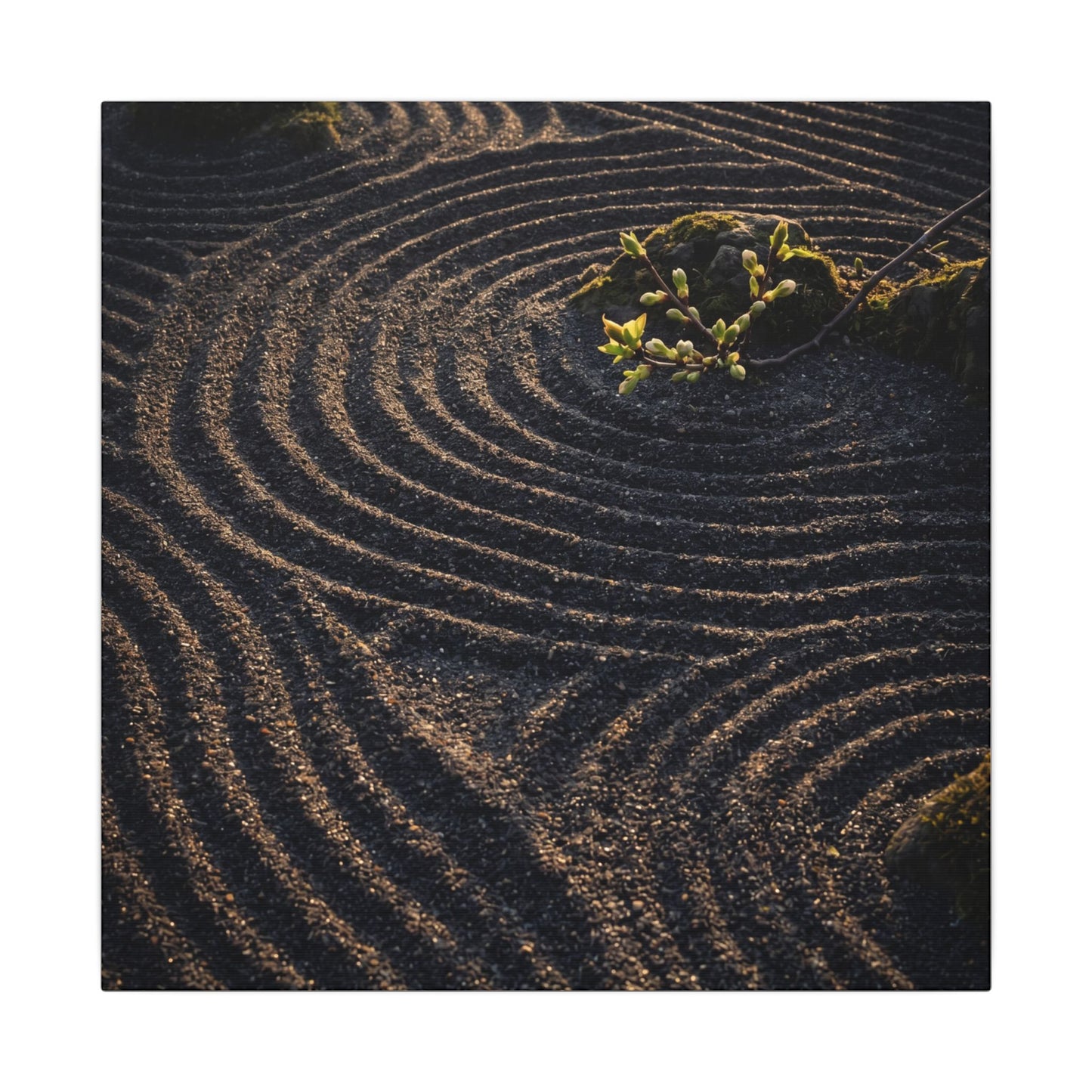 Spring Rock Garden Shadow Zen Canvas Art | Atmospheric Decor
