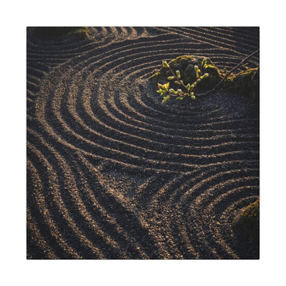 Spring Rock Garden Shadow Zen Canvas Art | Atmospheric Decor
