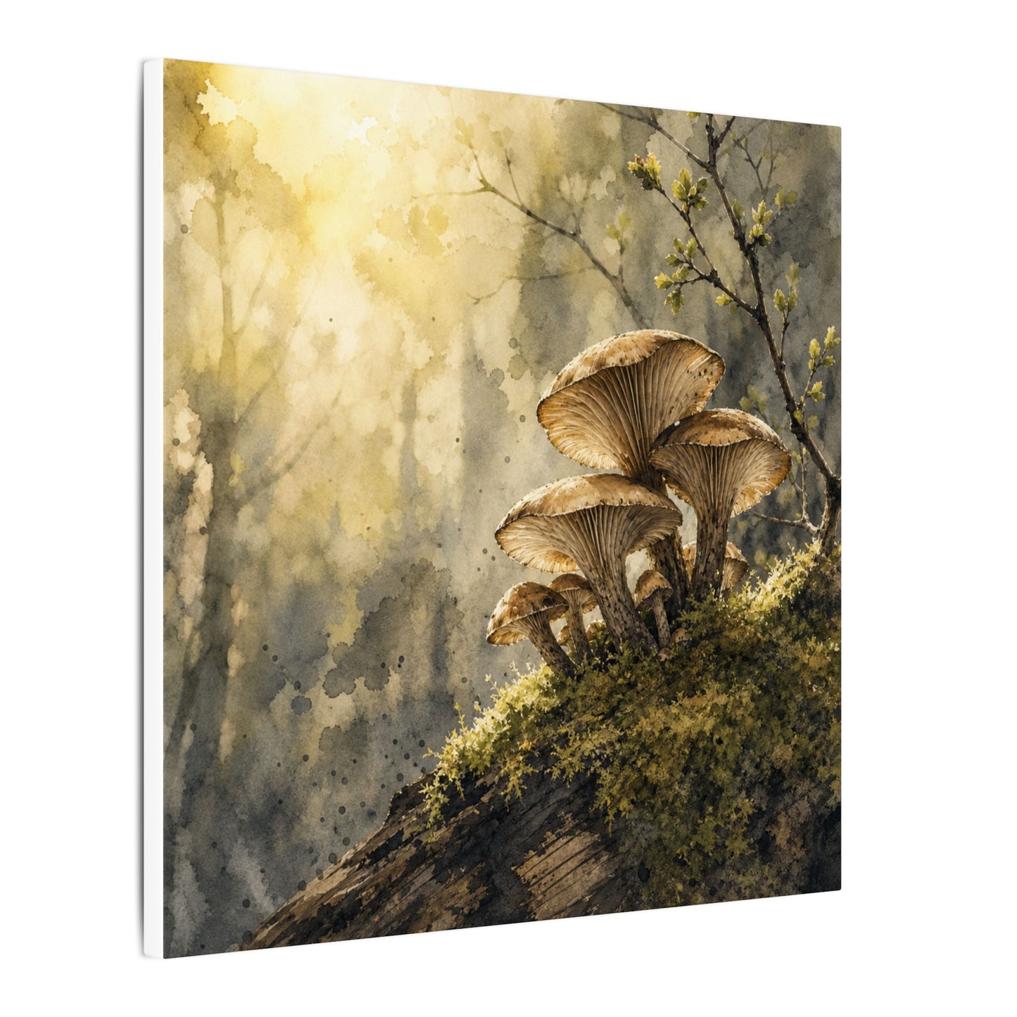 Wild Mushrooms Canvas Art | Spring Japandi Watercolor Art