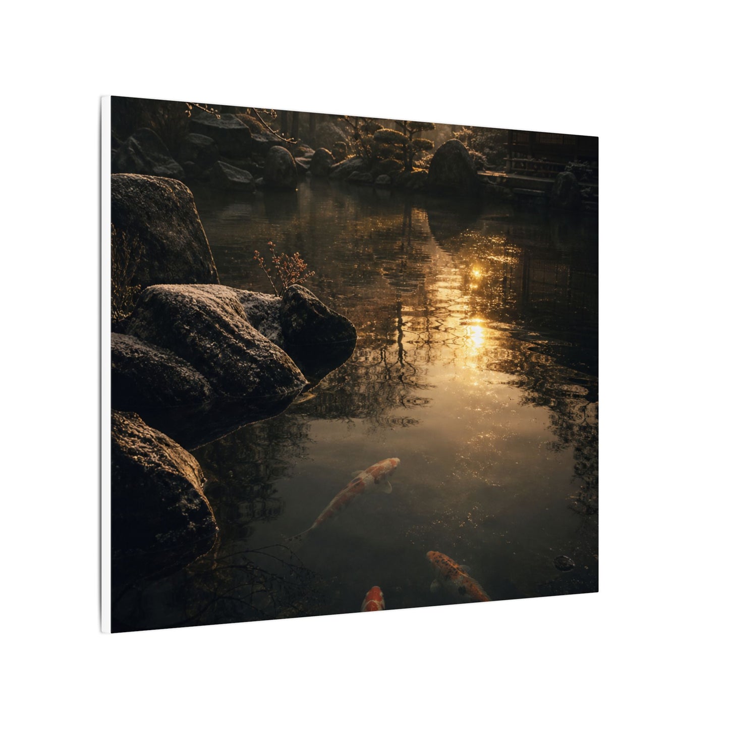 Winter Koi Pond Shadow Zen Canvas Art | Bold Decor