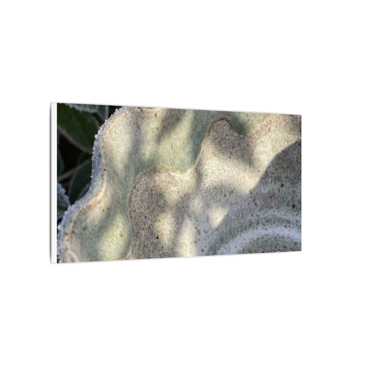 Dappled Ceramic Bowl Canvas Art - Japandi Seijaku