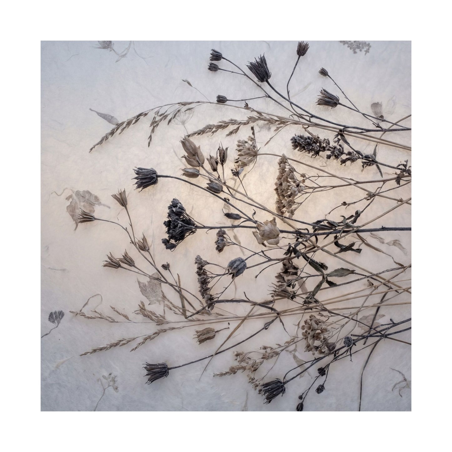 Winter Dried Flowers Japanese Pattern Wall Art Print | Warm Decor