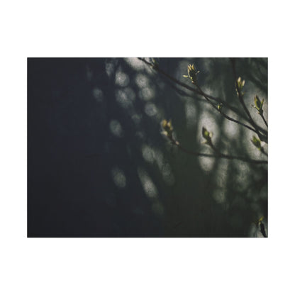 Dark Japandi Shoji Screen in Dappled | Moody Minimal Canvas Art Art Print