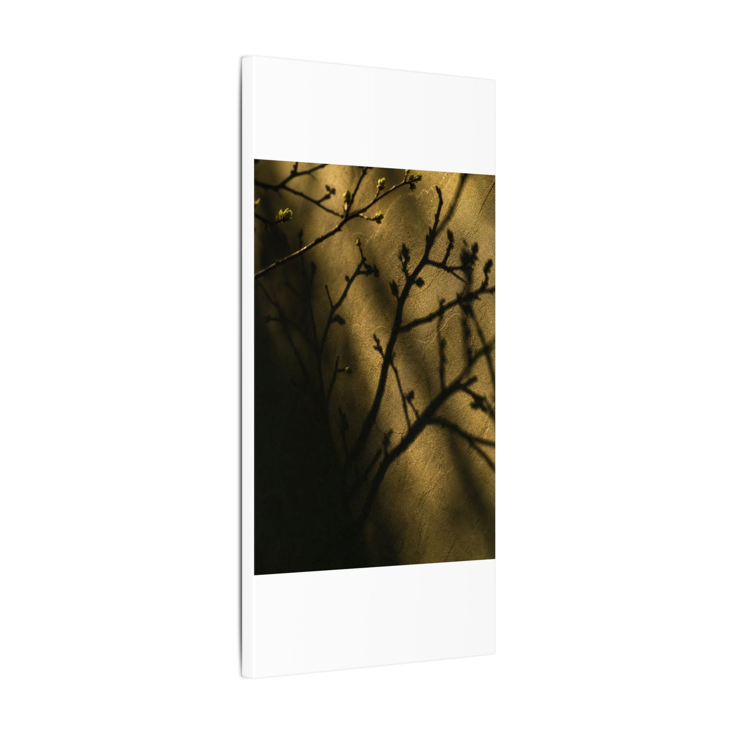 Golden Hour Shadow Play Canvas Art - Dark Japandi Seijaku