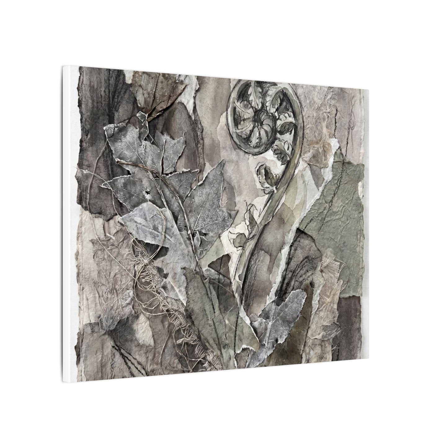Japandi Fern Unfurling in Overcast | Texture Canvas Art