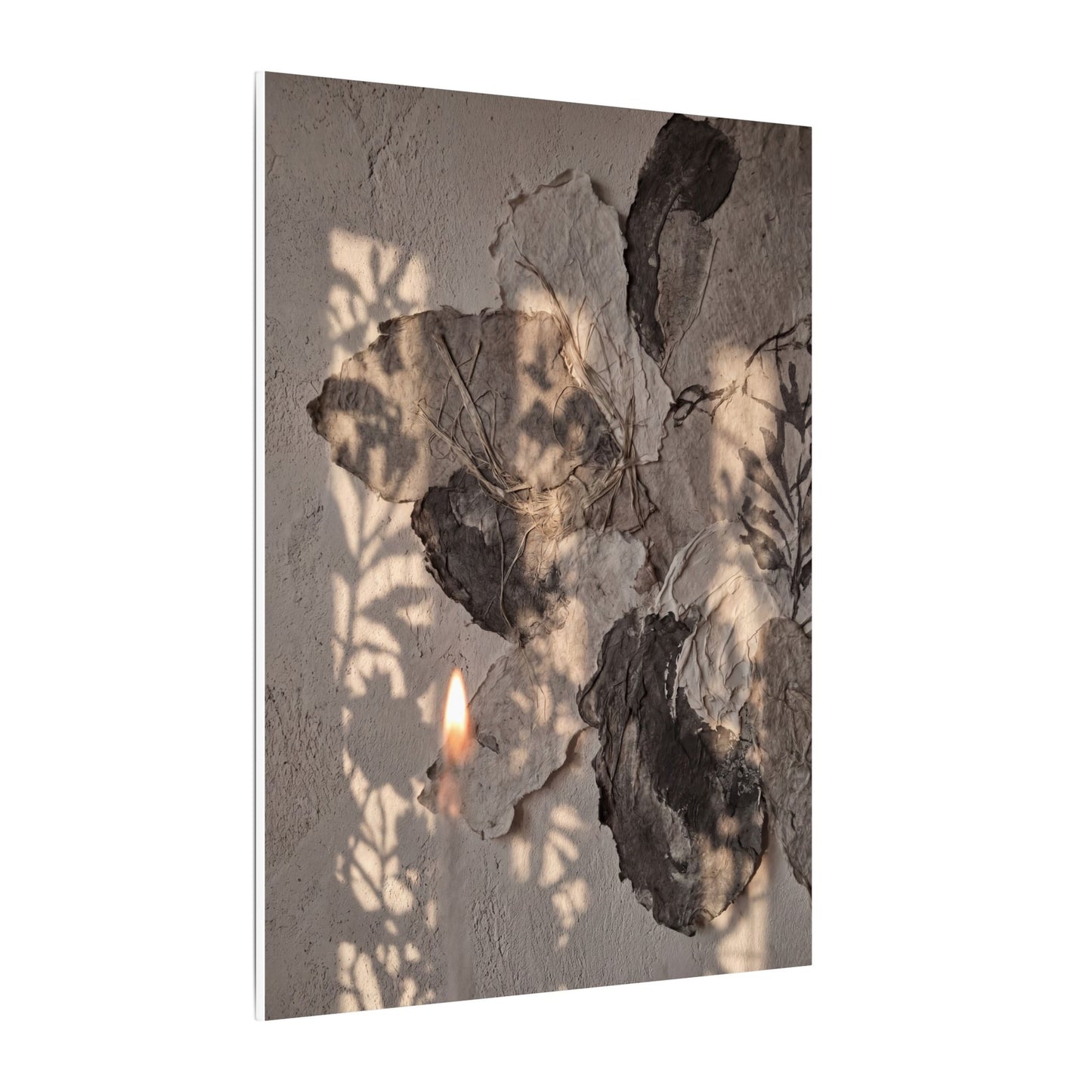 Shadow Play Summer Canvas Art | Japandi Elegant Design