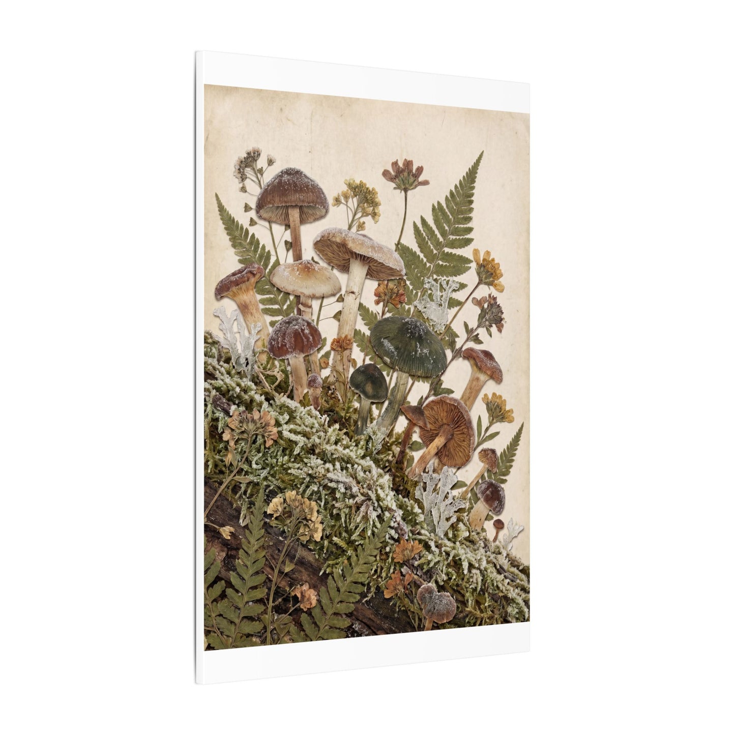 Winter Wild Mushrooms Herbarium Canvas Art | Enchanting Decor