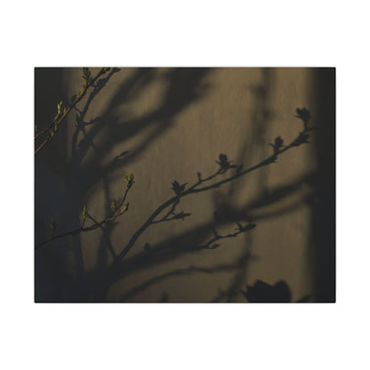 Seijaku Shadow Play Canvas Art - Dark Japandi Charcoal Ink