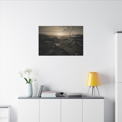 Dawn Cracked Earth Canvas Art - Dark Japandi Mono No Aware