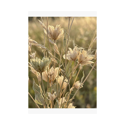 Cozy Dried Flowers Wall Art Print - Minimal Line Japandi