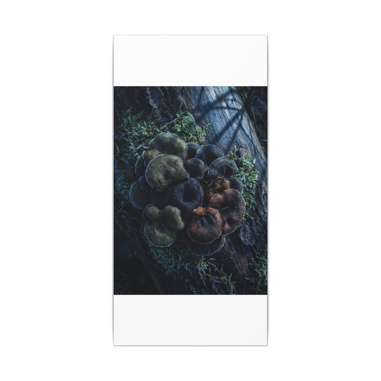 Wild Mushrooms Moody Minimal Canvas Art | Moody Dark Japandi Art