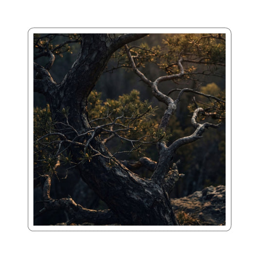 Sophisticated Pine Tree Sticker - Moody Minimal Dark Japandi Art Print